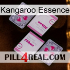 Kangaroo Essence 33
